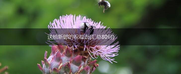 送给新郎的祝福语(汇总80句),第1张 送给新郎的祝福语(汇总80句),第1张