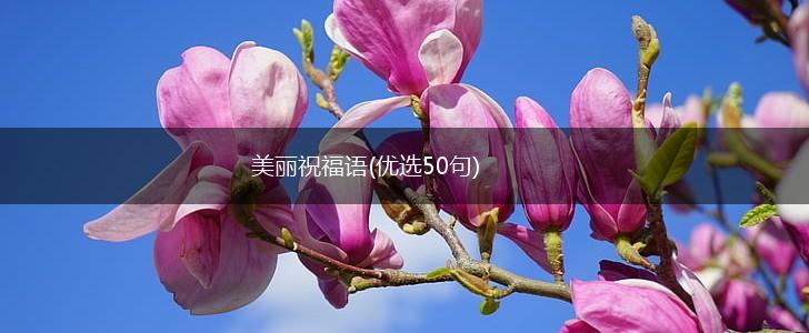 美丽祝福语(优选50句),第1张
