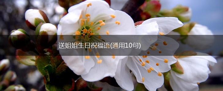 送姐姐生日祝福语(通用10句),第1张 送姐姐生日祝福语(通用10句),第1张