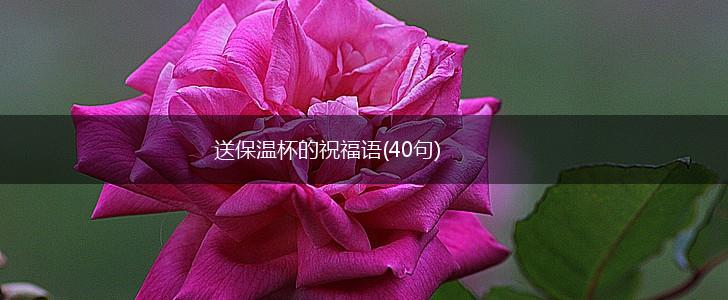 送保温杯的祝福语(40句),第1张