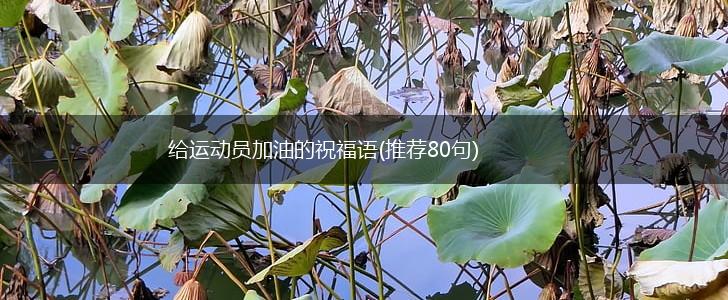 给运动员加油的祝福语(推荐80句),第1张 给运动员加油的祝福语(推荐80句),第1张
