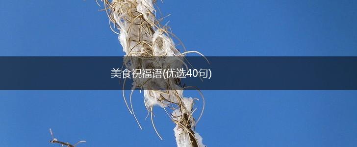 美食祝福语(优选40句),第1张