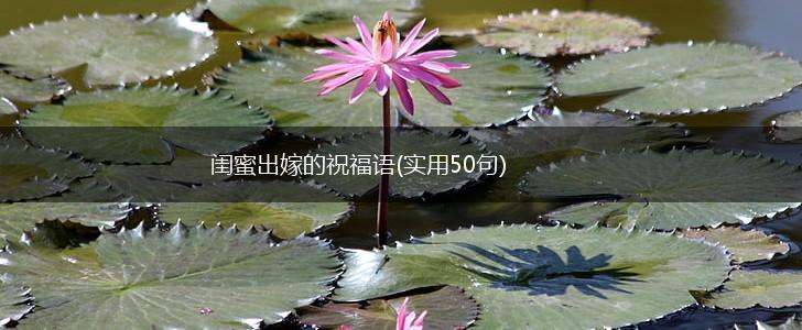闺蜜出嫁的祝福语(实用50句),第1张