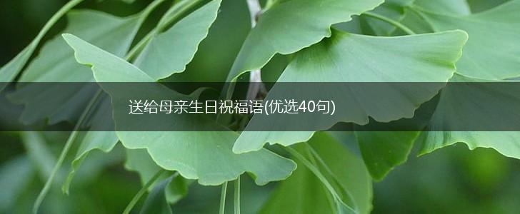 送给母亲生日祝福语(优选40句),第1张