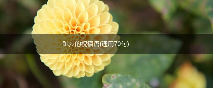 跑步的祝福语(通用70句),第1张