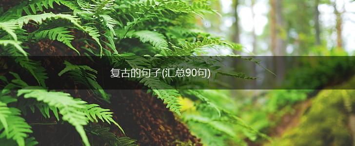 复古的句子(汇总90句),第1张