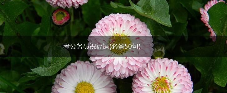 考公务员祝福语(必备50句),第1张