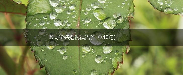 老同学结婚祝福语(汇总40句),第1张 老同学结婚祝福语(汇总40句),第1张