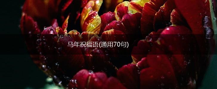 马年祝福语(通用70句),第1张 马年祝福语(通用70句),第1张