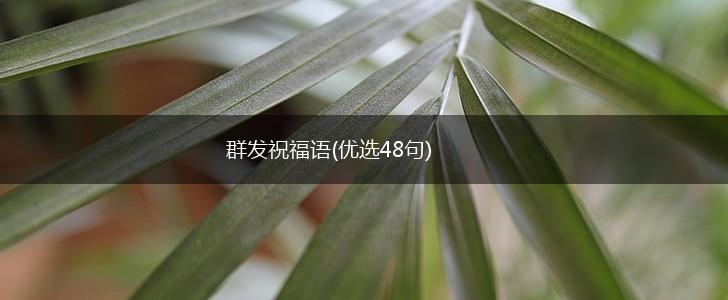 群发祝福语(优选48句),第1张 群发祝福语(优选48句),第1张