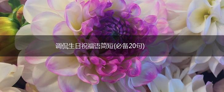 调侃生日祝福语简短(必备20句),第1张