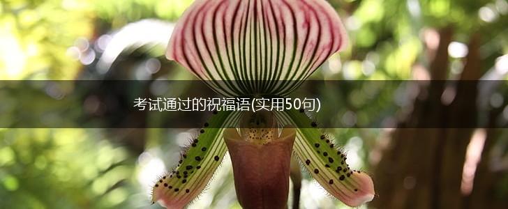 考试通过的祝福语(实用50句),第1张