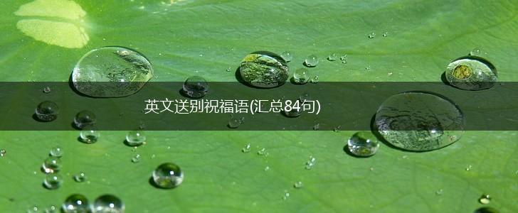 英文送别祝福语(汇总84句),第1张