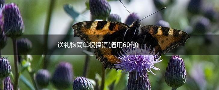 送礼物简单祝福语(通用60句),第1张 送礼物简单祝福语(通用60句),第1张