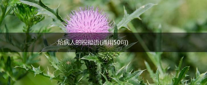给病人的祝福语(通用50句),第1张 给病人的祝福语(通用50句),第1张