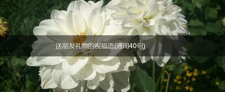 送朋友礼物的祝福语(通用40句),第1张 送朋友礼物的祝福语(通用40句),第1张