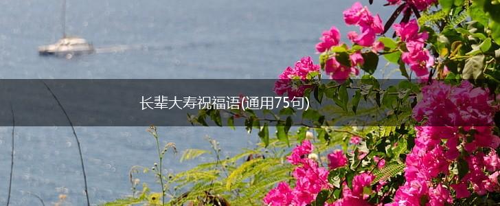 长辈大寿祝福语(通用75句),第1张
