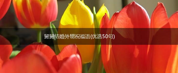 舅舅结婚外甥祝福语(优选50句),第1张