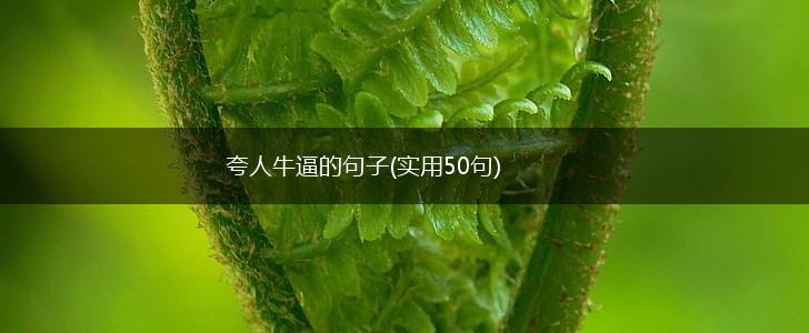 夸人牛逼的句子(实用50句),第1张
