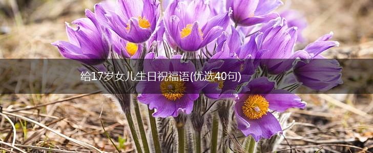 给17岁女儿生日祝福语(优选40句),第1张