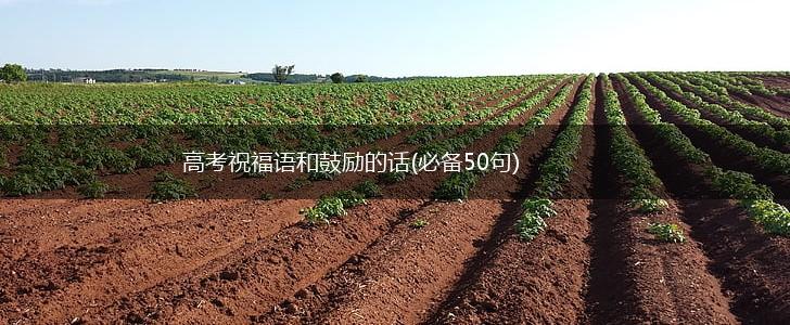 高考祝福语和鼓励的话(必备50句),第1张