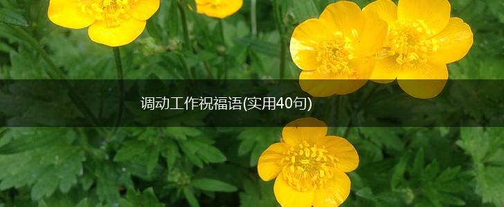 调动工作祝福语(实用40句),第1张