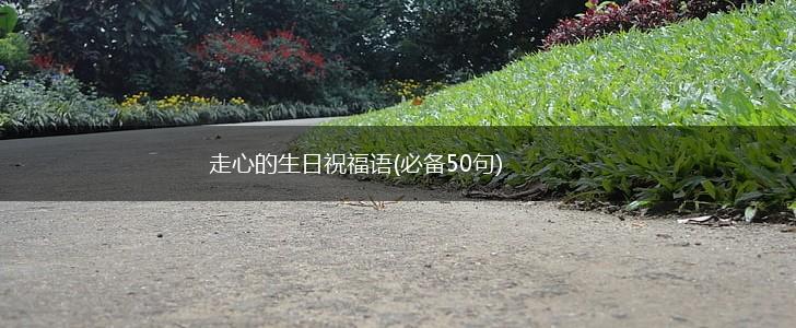 走心的生日祝福语(必备50句),第1张