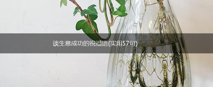 谈生意成功的祝福语(实用57句),第1张