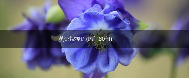 英语祝福语(热门80句),第1张