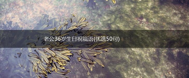老公36岁生日祝福语(优选50句),第1张
