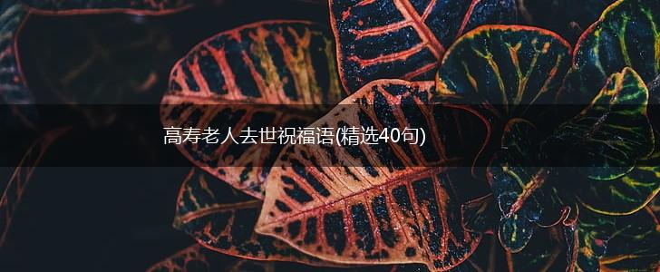 高寿老人去世祝福语(精选40句),第1张