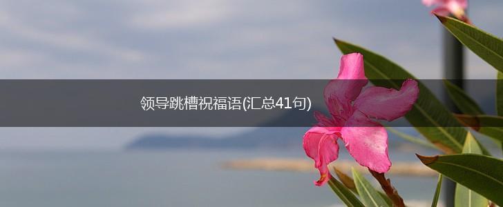 领导跳槽祝福语(汇总41句),第1张