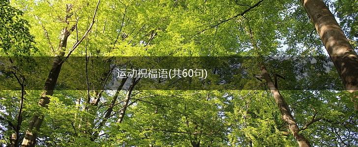 运动祝福语(共60句),第1张 运动祝福语(共60句),第1张
