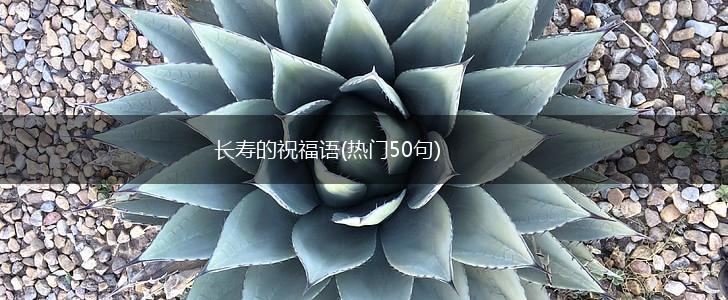长寿的祝福语(热门50句),第1张