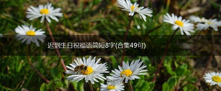 迟到生日祝福语简短8字(合集49句),第1张