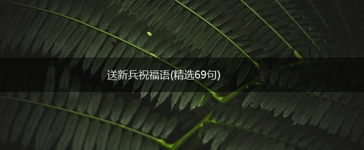 送新兵祝福语(精选69句),第1张