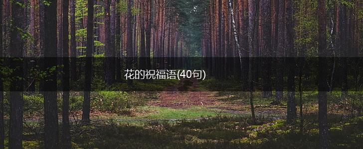 花的祝福语(40句),第1张