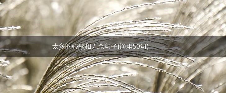 太多的心酸和无奈句子(通用50句),第1张