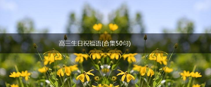 高三生日祝福语(合集50句),第1张