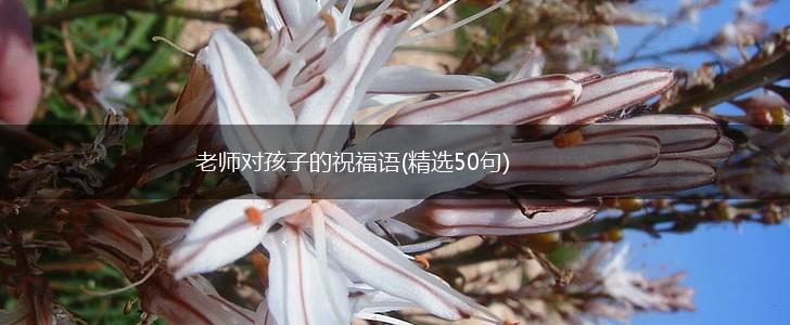 老师对孩子的祝福语(精选50句),第1张 老师对孩子的祝福语(精选50句),第1张