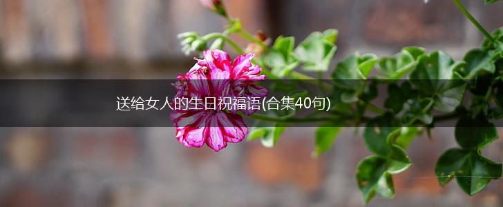 送给女人的生日祝福语(合集40句),第1张 送给女人的生日祝福语(合集40句),第1张