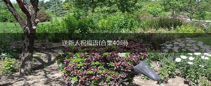 送新人祝福语(合集40句),第1张