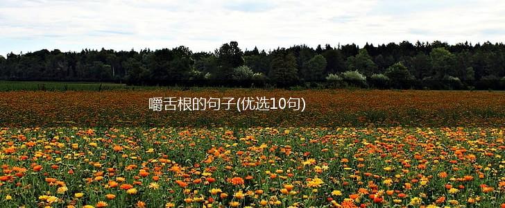 嚼舌根的句子(优选10句),第1张