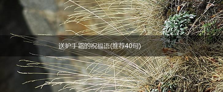 送护手霜的祝福语(推荐40句),第1张