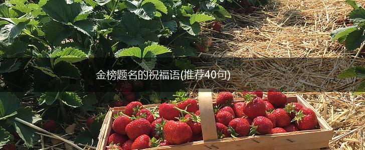 金榜题名的祝福语(推荐40句),第1张
