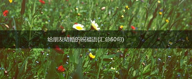 给朋友结婚的祝福语(汇总60句),第1张