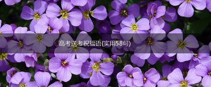 高考送考祝福语(实用58句),第1张