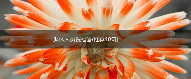 退休人员祝福语(推荐40句),第1张