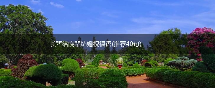 长辈给晚辈结婚祝福语(推荐40句),第1张