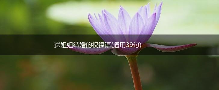 送姐姐结婚的祝福语(通用39句),第1张